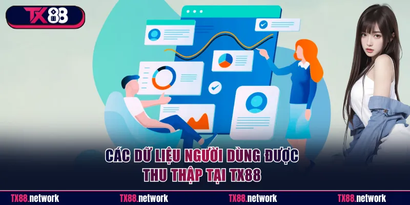 Các dữ liệu người dùng được thu thập tại TX88