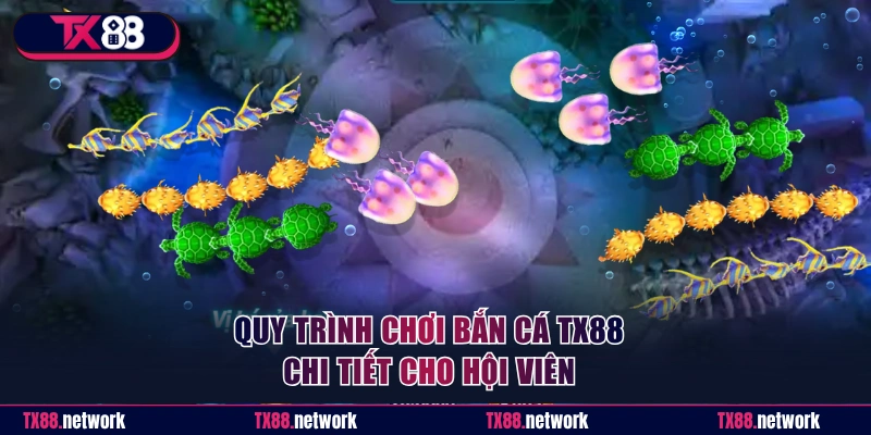 Quy trình săn ngư tại sân chơi TX88